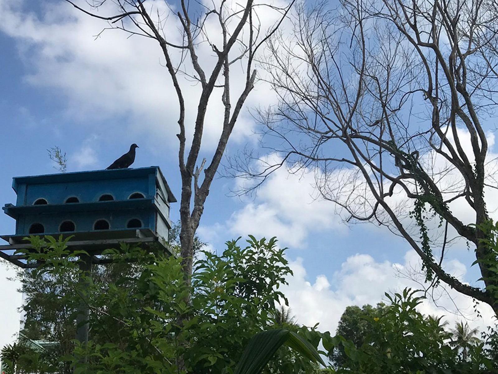 Countryside Phu Quoc Resort Exterior foto